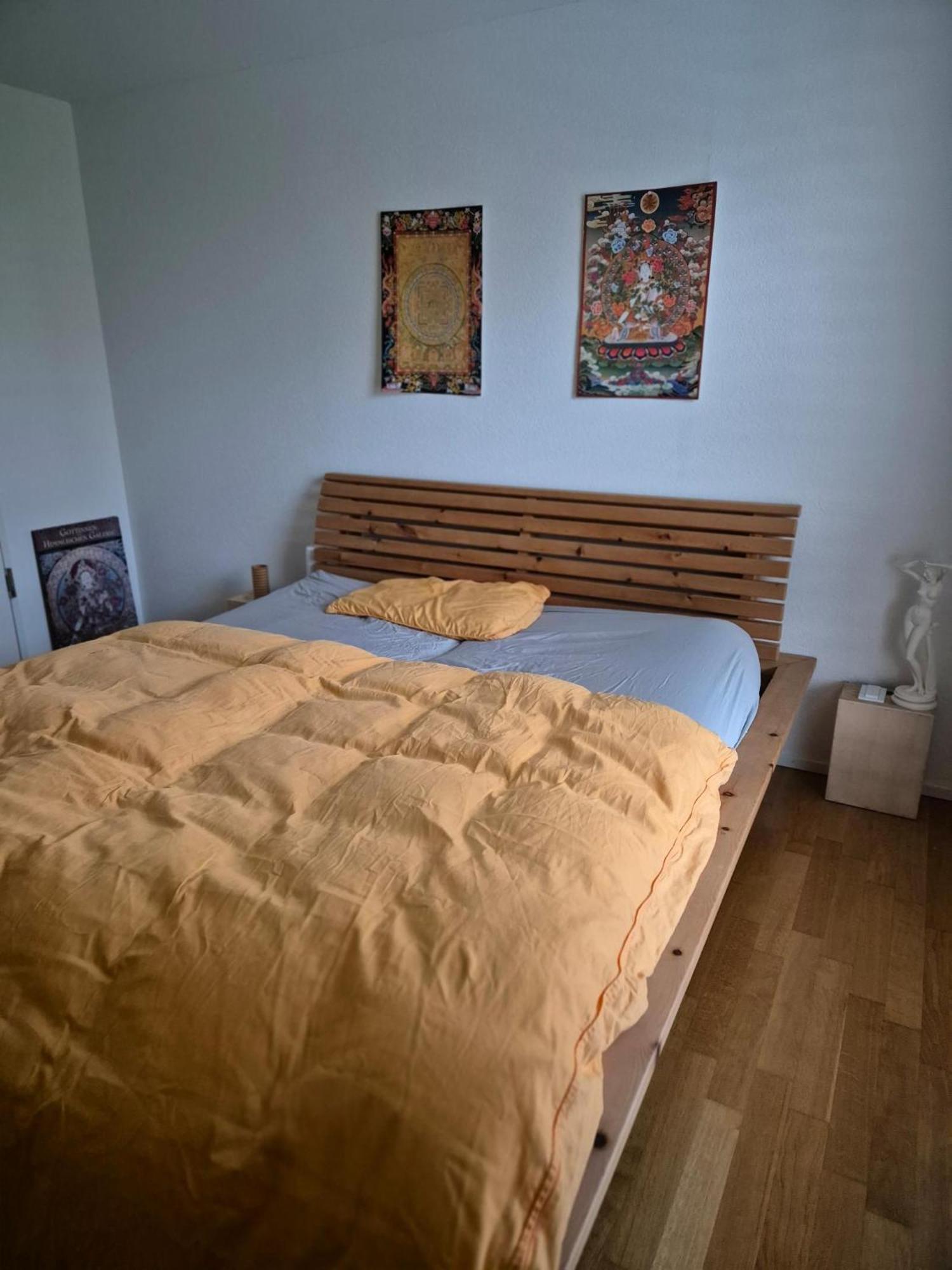 Zimmer In Penthouse-Wohnung Windisch Номер фото