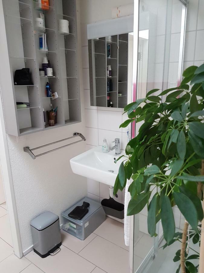 Zimmer In Penthouse-Wohnung Windisch Экстерьер фото