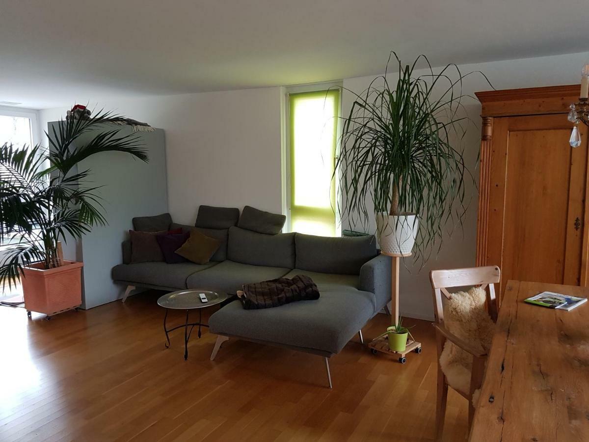 Zimmer In Penthouse-Wohnung Windisch Экстерьер фото