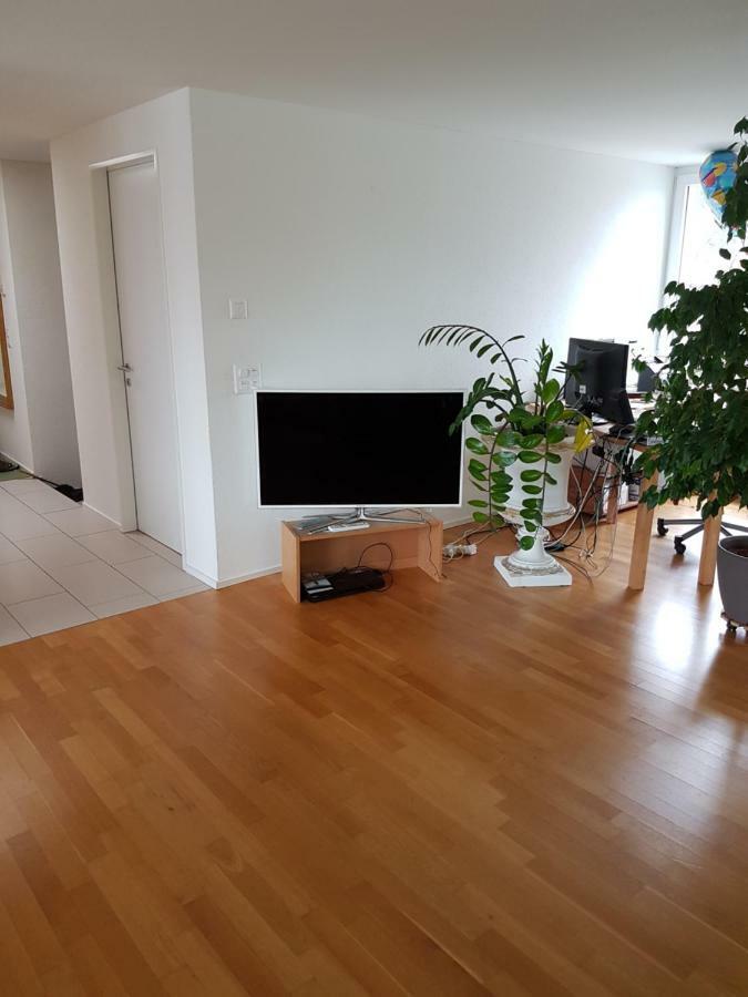 Zimmer In Penthouse-Wohnung Windisch Экстерьер фото